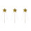 3 Star Fee Staf MetLint Cosplay 6