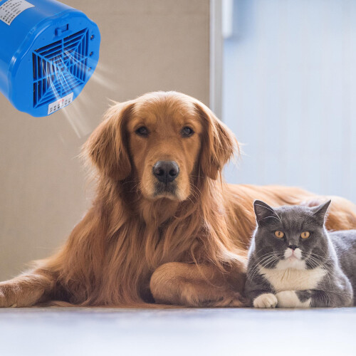 1 Lâmpada De Preservação De Para Animais Com Termostato 2