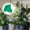 2 Unidades Não Para Plantas Hortaliças E 9