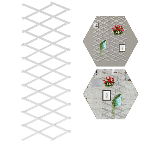 1 De Expansível Com Suporte Para Plantas 1