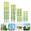 80 Unidades De Árboles De Bambú Artificial Para Decoración Hogar 3