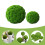 2 Unidades Bolas De Conservado Verde Para Decoración Interior 10