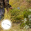 Weeder Puller De Inoxidable Para Estrechos 4
