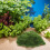De Mousse Verte Pour Jardin Intérieur Extérieur 4