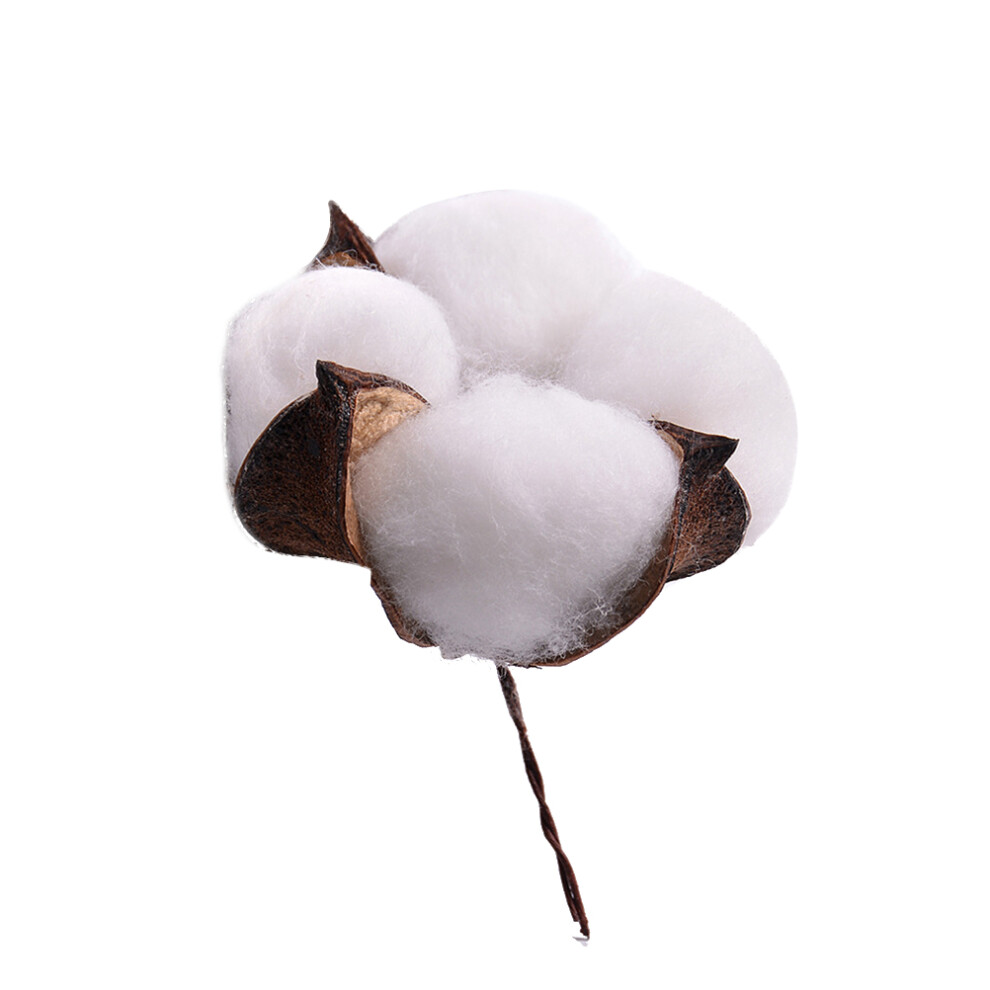 6 Sztuk Suszone Kwiaty BawełNy Do Domu I Wesela (BiałE)-image