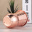 400Ml De Cobre Rosé Para Cocktail E Vinho 7