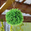 Faux Topiary Ozdobna Z Symulowanej Trawy 3