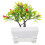 Árvore De Pimenta Artificial Bonsai Mini Decoração Para Casa 11