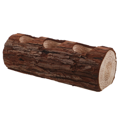 Driftwood De Natural Para Bonsais E Suculentas