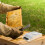 Beekeeping Feeder Bord Voor Bijenkast 10