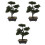 3 Unidades Árvore Bonsai Artificial Vaso Planta 3