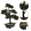 3 Unidades Árvore Bonsai Artificial Vaso Planta 10
