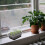 2 Conjuntos De Plantas Viveiro Barro Imitaçăo 7