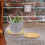4Pcs De Para Plantas, Coletora De 7