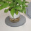 2Pcs De Barro Diatomácea Almofada Absorvente Para 8