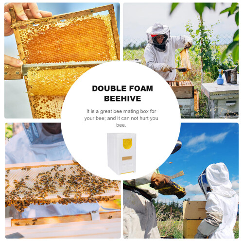 Boîte À Double Couche Pour Outil Apiculture Accouplement 1