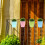 5Pcs Assorted Color Plastic Hanging Planters for Home Gardening Use 10