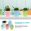 5Pcs Assorted Color Plastic Hanging Planters for Home Gardening Use 9