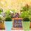 5Pcs Assorted Color Plastic Hanging Planters for Home Gardening Use 11