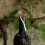 3 Pièces Mini Chapeau De Cowboy Bouchon De Bouteille Pour 5