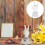 Trophy Decorativo In Trasparente Premio Accessorio 5