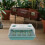Set Scatola Germinazione Piante, Mini Serra Per 11
