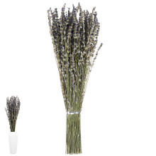 3Pcs Lavender Flower Bundles Khaki Natural for Events