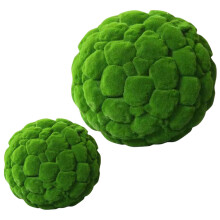 2 Unidades Bolas De Conservado Verde Para Ambientes