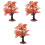 3Pcs Árvore Paisagem Micro 5
