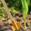 6Pcs De Para Ferramentas Agrícolas, 28Cm 5