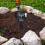 Stake De Memorial Para Pets Acrílico Cemitério 5