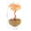 Árvore De Natural Com Cristais Para Decoração E Prosperidade 3