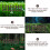 12 Unidades De Miniatura Para Bonsai 10