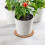 6 Unidades Almofadas De Cortiça Redondas Para E Jardinagem 3