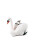 1 Plástico Decoração Animal Presente 5