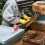 4 Unidades Botella Marcadora Para Abejas Con Madera 10