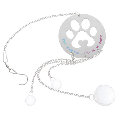 3Pcs Presente De Para Animais De Estimação, Cão