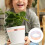 Rouleau De Protecteur Pour Plantes 7