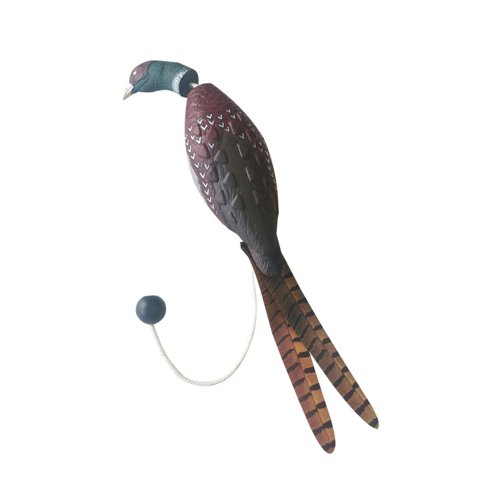 Dog Turkey Toy Realistic For Engaging And Entertaining Playtime Size-image-OPC-PM8JRGJ-NEW