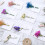 20 Pezzi Ringraziamento Con Secchi Assortiti 7