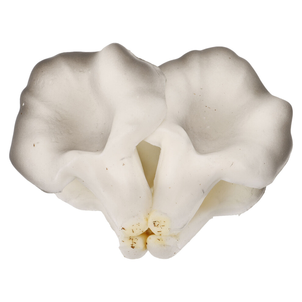 Eva Figurka Ozdobna Grzybowa BłOtniaczka Do Ogrodu-image