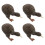 20 Decorazione Kiwi Realistico Per 1
