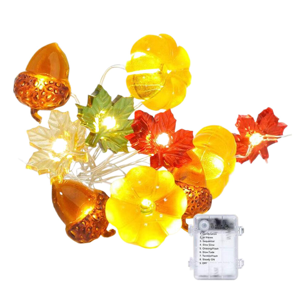 (3 m30 lights Steady) Battery Operated Thanksgiving Lights Outdoor Warm Ambiance Fall Lights-image-OPC-PM8K5PQ-NEW