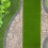 Fake Grass Para : Césped Artificial 13X39 Pulgadas 4