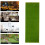 Fake Grass Para : Césped Artificial 13X39 Pulgadas 9