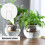 1 Conjunto/40 Peças Para Sem Solo E Plantas Aquáticas 11