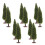 40 Unidades Miniatura De Árvore De Para Paisagem E 2