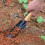 2 Unidades De Para E Bonsai Acessórios Preto 11
