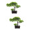 2 Unidades Árvore Bonsai Artificial Vaso Decoração 9