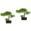 2 Unidades Árvore Bonsai Artificial Vaso Decoração 6